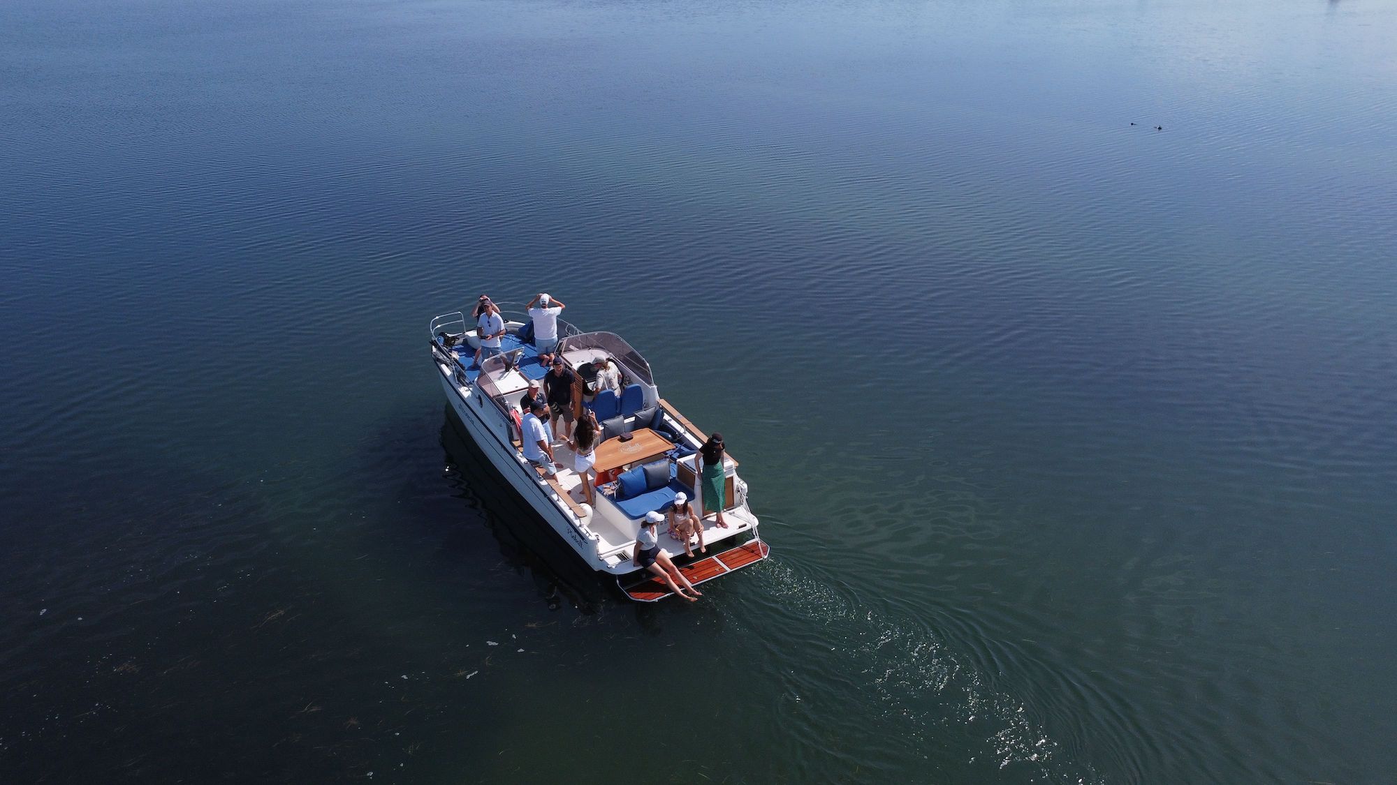 Sea Observer, catamaran Pinball