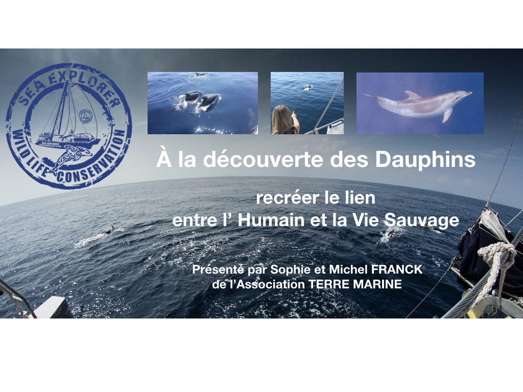 Conférence vie sauvage et dauphins