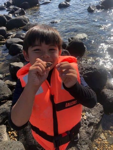 séances scolaires sur une île - vie marine - cap d'adge - association terre marine - préserver la mer - protéger la vie marine