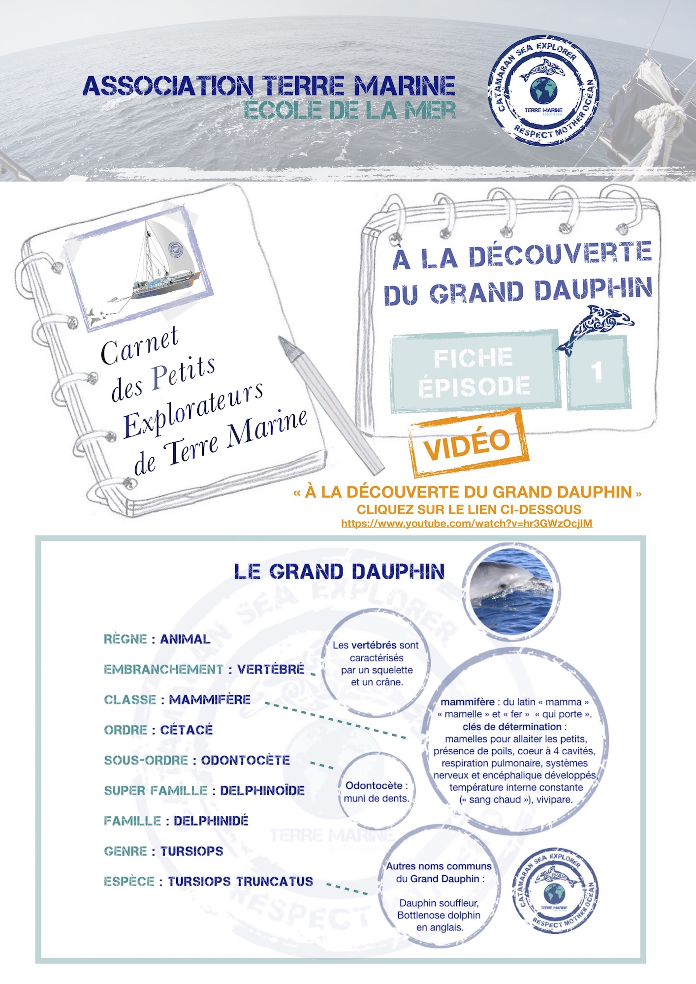 Séance pédagogique sur la découverte et l'observation de la vie marine, le Grand Dauphin de Méditerranée - vidéo Utube Terre Marine - support scolaire