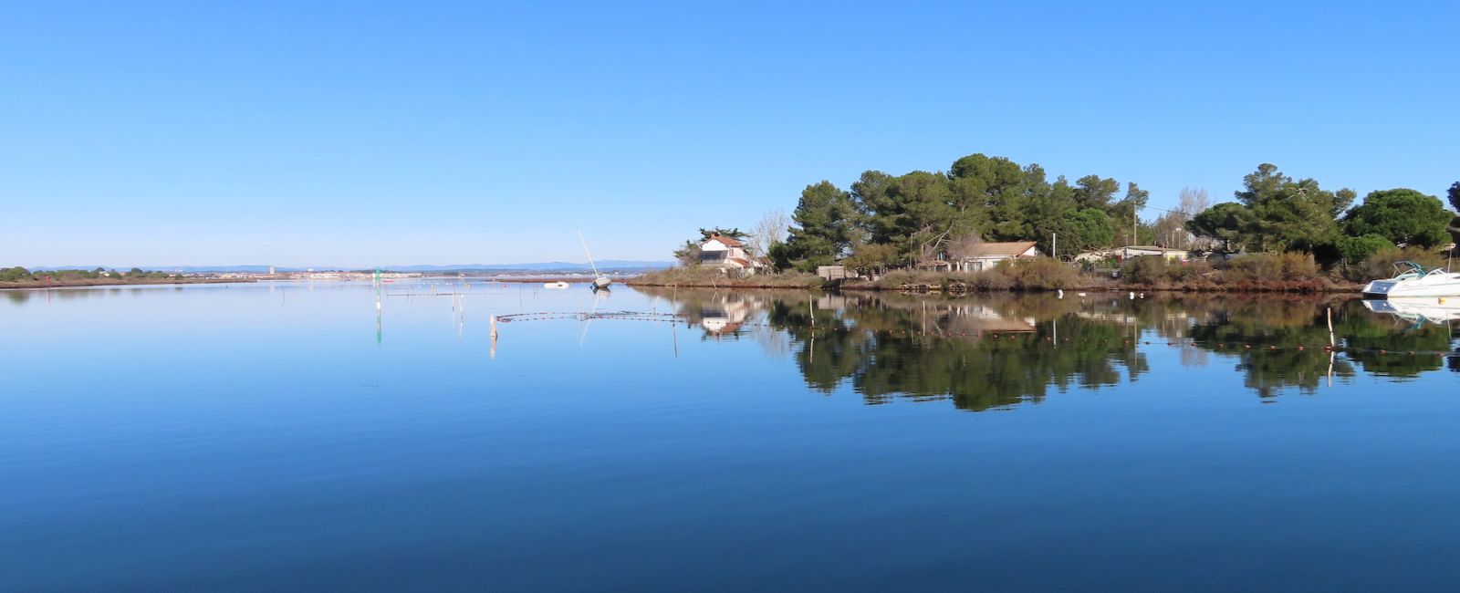 lagune, étang de Thau, bidoversité, vie marine, sortie en mer, scolaires, marseillan, mèze, bouzigues balade en mer cap d'agde - sortie en mer cap d'agde - dauphin - plancton- sons sous-marins - sortie privatisée en bateau cap d'agde - biodiversité marine cap d'agde- observation oiseaux lagune de Thau cap d'agde